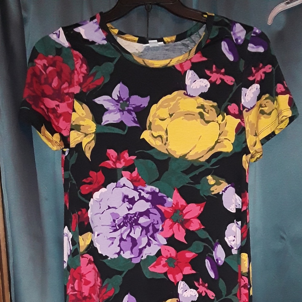 NWOT Lularoe Carly dress
